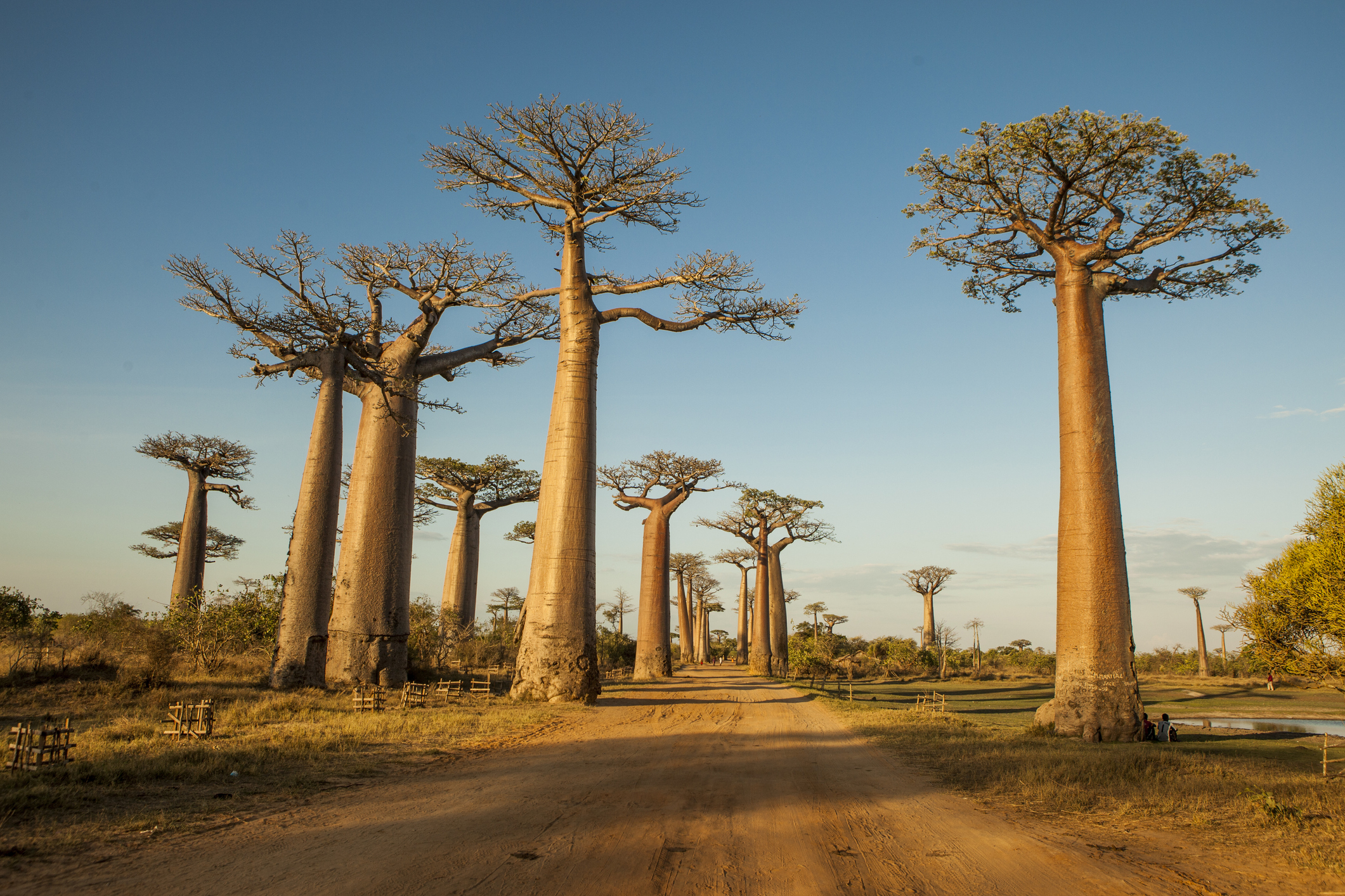 transport logistique madagascar